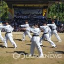 영진태권도 이미지