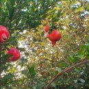 송정자연휴양림 이미지