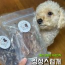 정성스럽개 이미지