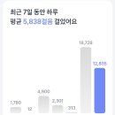 (주)장원레미콘 인천공장 | 2024 인천 펜타포트 락페스티벌 2일차 (8월 3일 토요일)