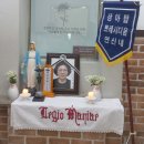 모후품안 이미지