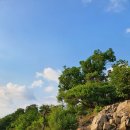 2021-주165 이미지