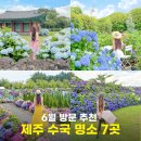 두모바람한옥 | 6월 제주 수국 명소 추천 7곳 개화시기 총정리 ; 제주도 혼인지 수국길, 답다니수국밭, 남국사, 휴애리...