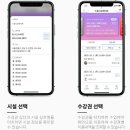 비피번지필라