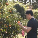 금동이네 | [서귀포] 금동이네 감귤체험 N번째 방문 후기
