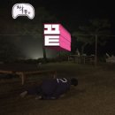 코나커피