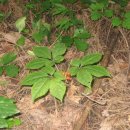 이재구농장 이미지