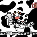 래빗베이프일산 이미지