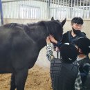 괴산군청소년상담복지센터 이미지