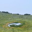 낮은제주 | 제주도 서쪽 난이도 낮은 오름 추천 금오름 후기