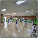 용인대 석사 스타태권도장 이미지