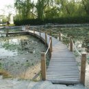 신사역 5번출구 앞 횡단보도 이미지