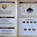 와이에스골드 | {기능성 화장품 체험}후기,다이아몬드 크림