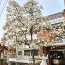 삼청동 코리아 게스트하우스