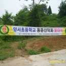 양서 초등학교 이미지