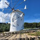 세븐일레븐도고로드점 | 시코쿠 다카마쓰&amp;마쓰야마 정리글(2) : 혼자여행, 일본여행경비, 입장권, 교통비, 쇼핑, 식비