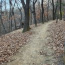 정발산공원 이미지