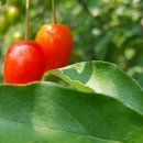 이리종합가스 이미지