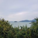 뽐뽐파리
