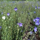 으뜸농장 2 이미지