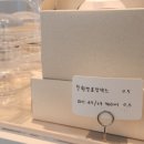 머무른하우스