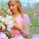 초록향기 - 장성군 매화2길 13 | 초록향기