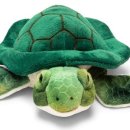 애완동물원 이미지