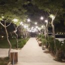 카페더헤븐 이미지