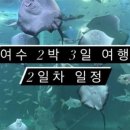 비고리조트 17 네이버블로그