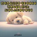 반려견 천연 아로마 테라피 | 반려견 강아지 심신안정 아로마테라피 천연 오일로 만드는 도테라 스프레이 레시피