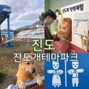진도개테마파크 ( Dog스포츠(평일)어울마당) | 진도개테마파크 공연시간 입장료 등 2번은 안 갈 거 같은