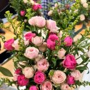 효가경로당 이미지