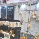 와이엠 구미 이미지