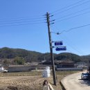 합천명품토종흑돼지 이미지