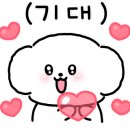 퍼피루시드 이미지