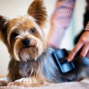 아프지말게 동물병원 이미지