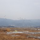 대룡산길 이미지