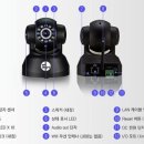 펫츠매일
