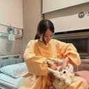 바나나 동물병원 | 이대목동병원 초산모 단태아 유도 분만 3박 4일 입원 후기 [입원 1-2일차/38W6d/박선화교수님]