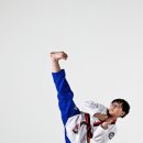 정무태권도 이미지