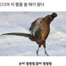 Jy 단장 | 힘을 내요 어쩌구..