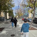 재향군인특별경로당 | 샌프란시스코 여행 중 베테랑스데이 퍼레이드 현장! 아이와 함께한 감동의 하루 (샌프란시스코 근처 가...