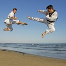 인지 태권도 이미지