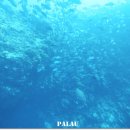 (주)펀섬 이미지