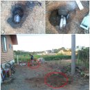 삼향초등학교 이미지