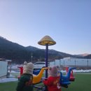 둥이축산 네이버블로그