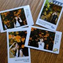 뽑기통2 | 능소화 사진 뽑기 (인스탁스 SP-2 후기, 사용법)