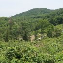 양평쉬자파크 이미지