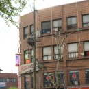 까치세탁소 이미지