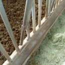 한우농장2 이미지